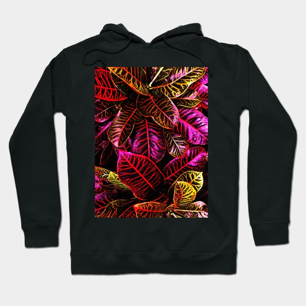 Pink Crotons Plant Hoodie by Rosemogo